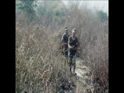 SYND 02/02/80 SITUATION IN THE BORDER AREA BETWEEN THAILAND AND CAMBODIA News Clip