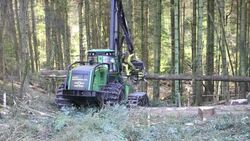 A forwarder, a specialist logging machine cutting down timber in Grizedale Forest, Lake District, Cumbria, UK. Stock Footage