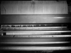 EXSPAGHETTI News Clip