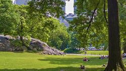 Central park Stock Footage