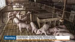 China’s Hog Industry Hit by African Swine Fever News Clip