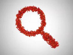 Search Symbol made by Orange Butterflies - Alpha Stock Footage