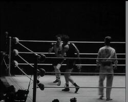 THE AMATEUR CHAMPS News Clip