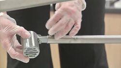 Charity Training Cancer Detection Dogs News Clip