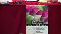 CLEAN : Cardinals remain reluctant to gay marriage News Clip