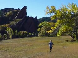 HD video Colorado autumn trail run Roxbrough state park Stock Footage