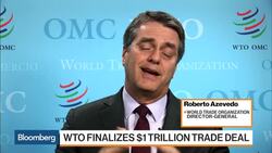 WTO Director General Azevedo on Trade, Brexit, Trump News Clip