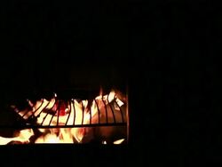 Fireplace Stock Footage