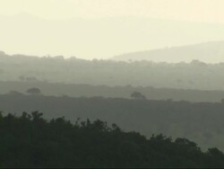 Misty scene of silhouetted ridges; early morning, Kenya, Africa Stock Footage