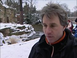 Polar bear Knut enjoys cold weather, primates given blankets News Clip