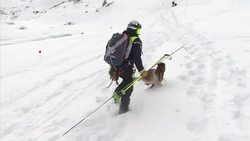 CLEAN : French rescue workers train in the Alps News Clip