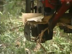 Deforestation Stock Footage