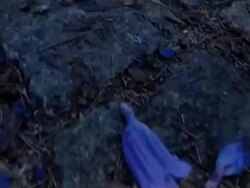 Sidewalk Stock Footage