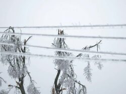 Glaze On Power Lines Stock Footage
