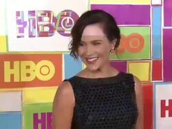 Julie Benz at HBO's Official 2014 Emmy After Party Stock Footage