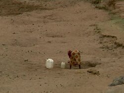 Woman filling water canister from well in dried-up river bed Stock Footage