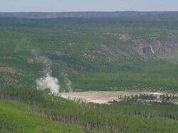 WS AERIAL View approaching to White Dome Geyser and dense forest / Wyoming, United States Stock Footage