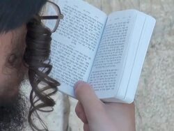 CU Jewish prayer reading in book at Wailing Wall / Jerusalem, Mechoz Jeruschalajim, Israel Stock Footage