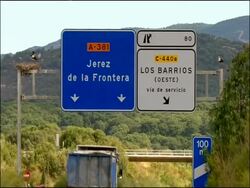 Road sign - Jerez de la Frontera A381 and Los Barrios - White Storks (Ciconia ciconia) nesting in background, Andalucia, Spain Stock Footage