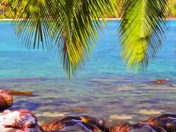 Palm tree twig bend over sea water Stock Footage