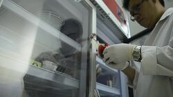 Asia medical technician man doing quality control of blood bag during storage refrigerator in laboratory hospital Stock Footage
