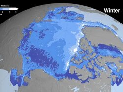Winter Arctic Sea Ice Thickness Declining Rapidly. Stock Footage