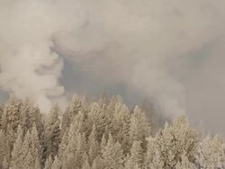 WS Snowy trees with geothermal activity / Yellowstone National Park, Wyoming, United  Stock Footage