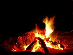 Campfire Stock Footage