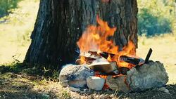 Bonfire for picnic Stock Footage
