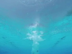 HD Man jumps in the pool Stock Footage