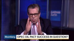 Goldman's Currie: Higher Likelihood of an OPEC Agreement News Clip
