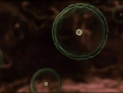 Medium Close Up push-in push-out - A computer-generated animation shows the body systems of parasite hosts. Stock Footage