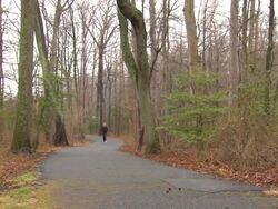 Pam Runs Past - Locked Stock Footage