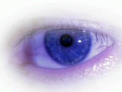 Blue Eye Stock Footage