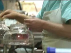 Leech farm and leech treatment News Clip