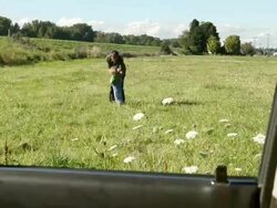 Father and son playing in a field, viewed from inside a car Stock Footage
