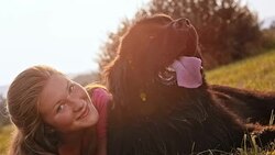 SLO MO Woman and her dog in sunshine Stock Footage