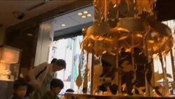 Japan - $4.3million Christmas Tree Instructional Video