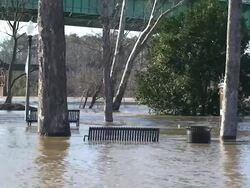 Park Floods Stock Footage