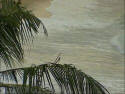 Sri Lanka Stock Footage