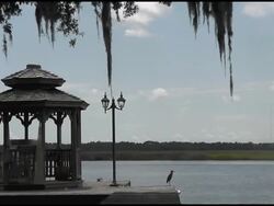 gazebo Stock Footage