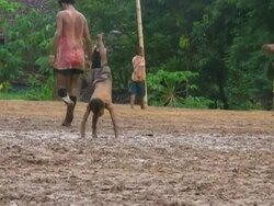 CLEAN: Refugees in limbo as Myanmar poll looms News Clip