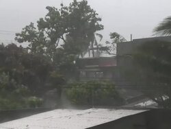 Strong wind and rain lash trees during Super Typhoon Megi or Juan, NE Luzon, Philippines Oct 2010 / AUDIO Stock Footage