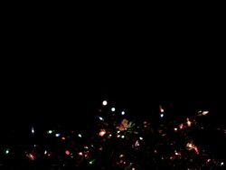 Blinking Christmas Lights at Night (HD,NTSC) Stock Footage