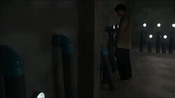 New accomodation for swiflets who create nests for Chinese delicacy News Clip