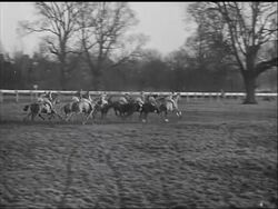 Steeplechasing At Kempton Park News Clip