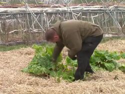 West Craigie Farm in South Queensferry News Clip