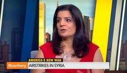 Were U.S. Airstrikes on Syria Successful? News Clip