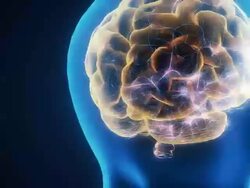 Brain Neuron Activity Stock Footage