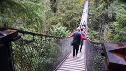 A rainforest just a short distance from Vancouver explored News Clip